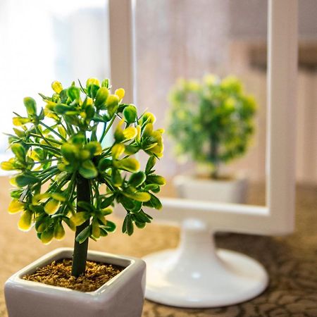 Hotel Nuovo Fiore كاتوليكا المظهر الخارجي الصورة
