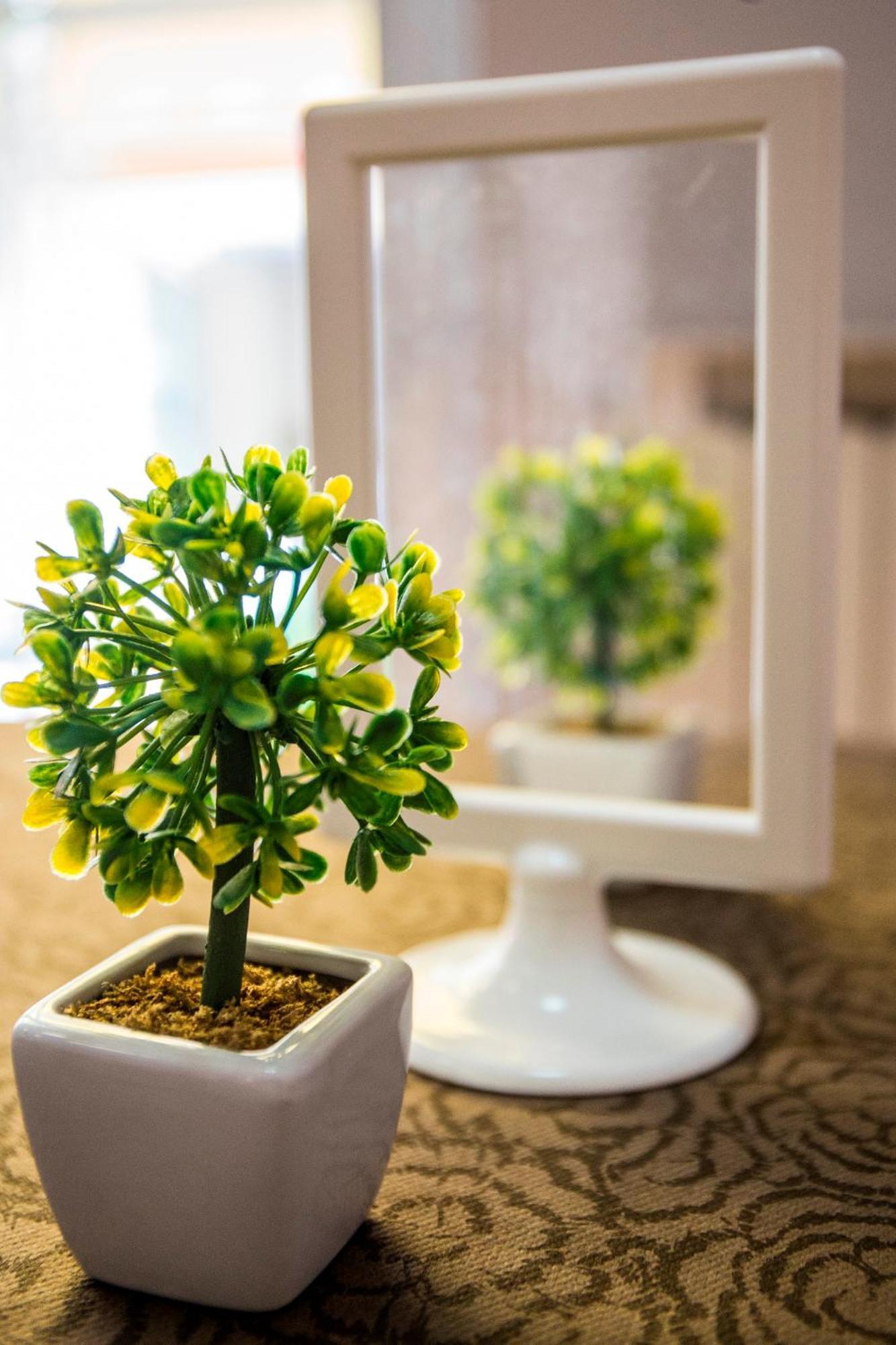 Hotel Nuovo Fiore كاتوليكا المظهر الخارجي الصورة